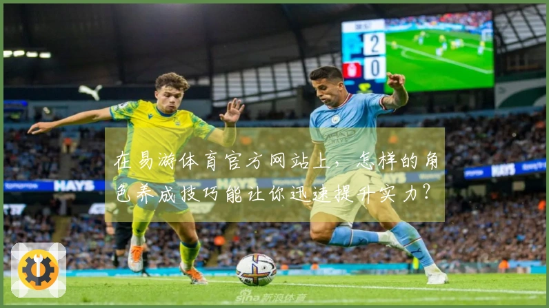 在易游体育官方网站上，怎样的角色养成技巧能让你迅速提升实力？